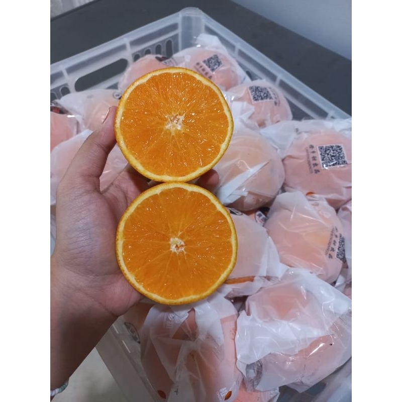 

SUNKIST NAVEL TERMURAH (SEGAR, MANTAP, DI JAMIN FRESH, MENGOBATI BIBIR PECAH PECAH, VITAMIN C TINGGI)