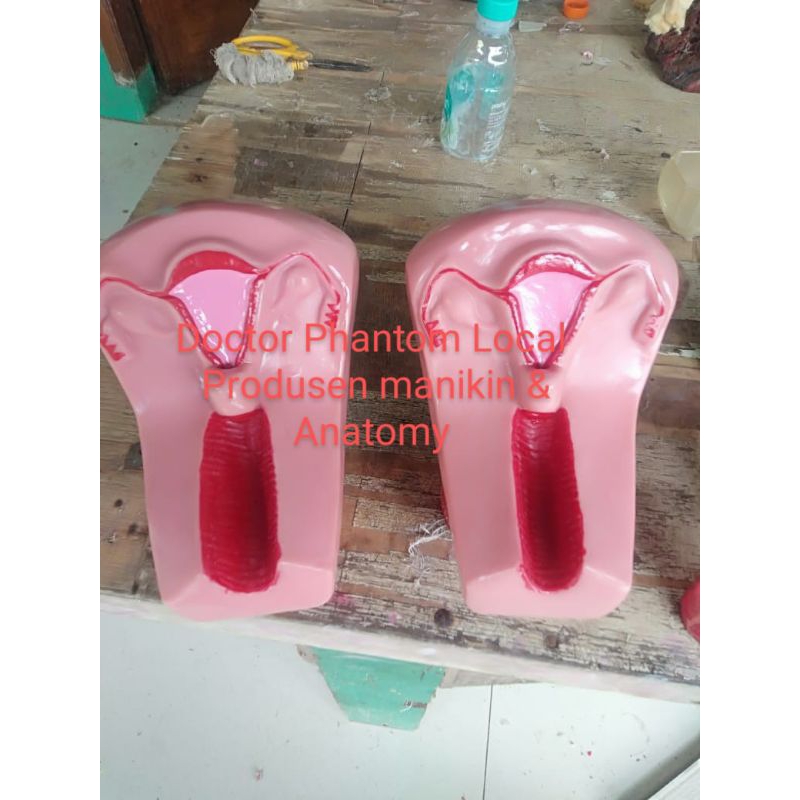 PHANTOM UTERUS/MANIKIN PEMASANGAN SEPIRAL/RAHIM