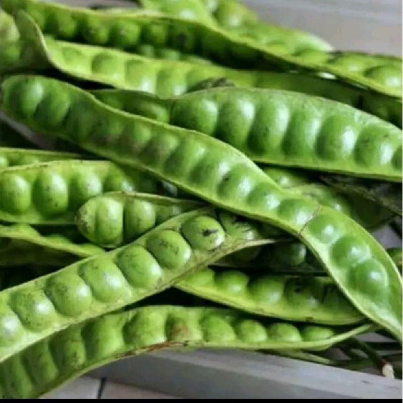 

petai fresh pilihan spesial