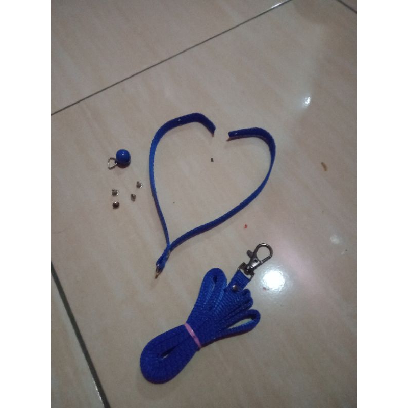 tali burung hantu paten