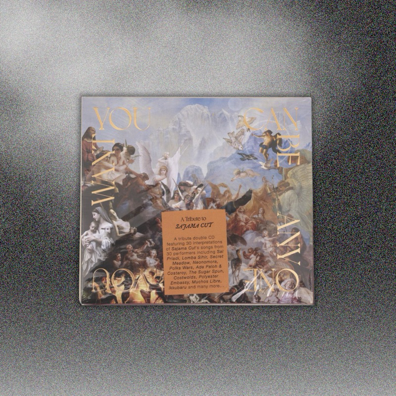 You Can Be Anyone You Want - A Tribute to Sajama Cut