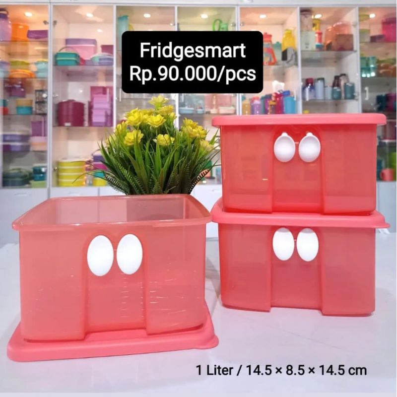 fridgesmart tupperware