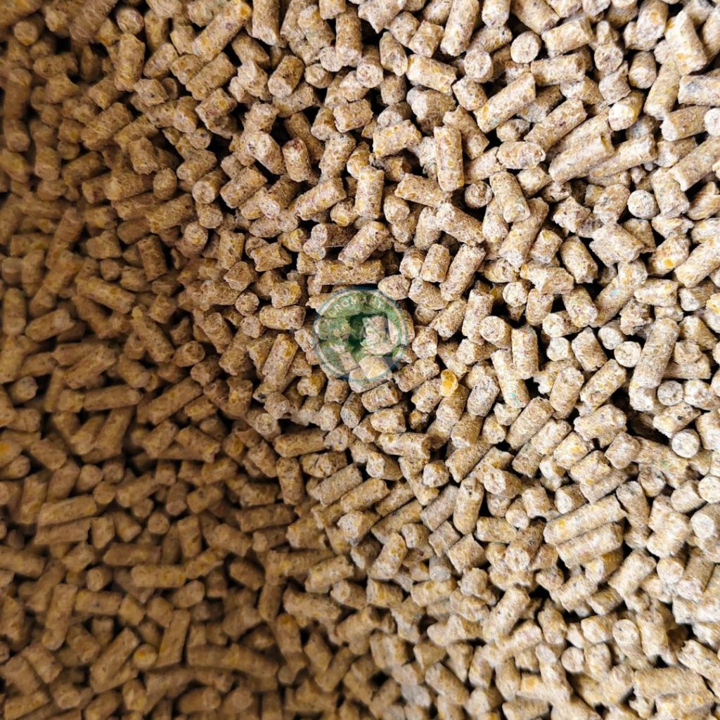 Pakan  Ayam  552-SP  1 kg