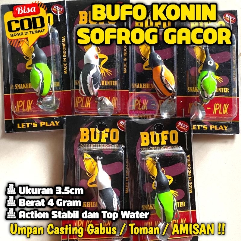 BUFO KONIN / SOFROG BUFO / KODOK BUFO / BUFO KOCOLAN / SOFROG BAGUS