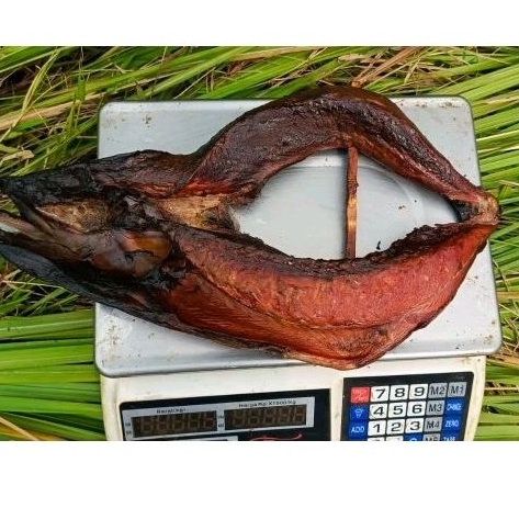 

CAKALANG FUFU Tanpa Bambu 1Kg