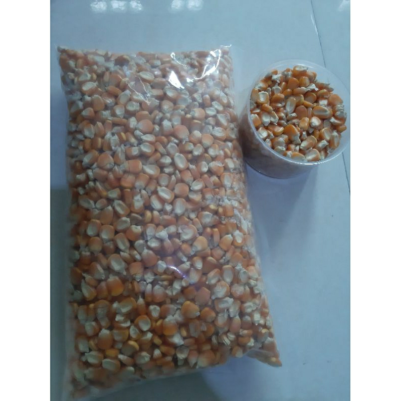 

JAGUNG HIBRIDA pakan ternak jagung pipil kering 500gr