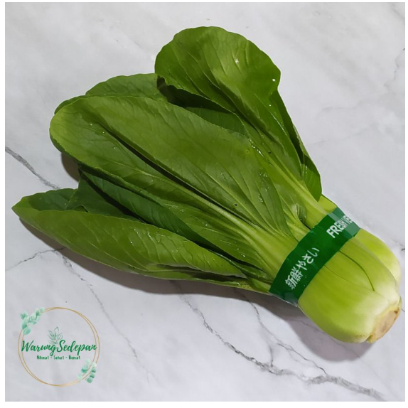 

Sayur Pakcoy per ikat Sayur Pakcoy Segar Sayur Segar Cikarang Sayur Online