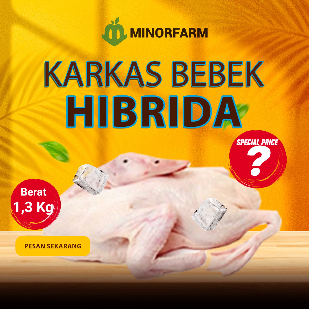 

Karkas Bebek Muda Hibrida 1,3 Kg