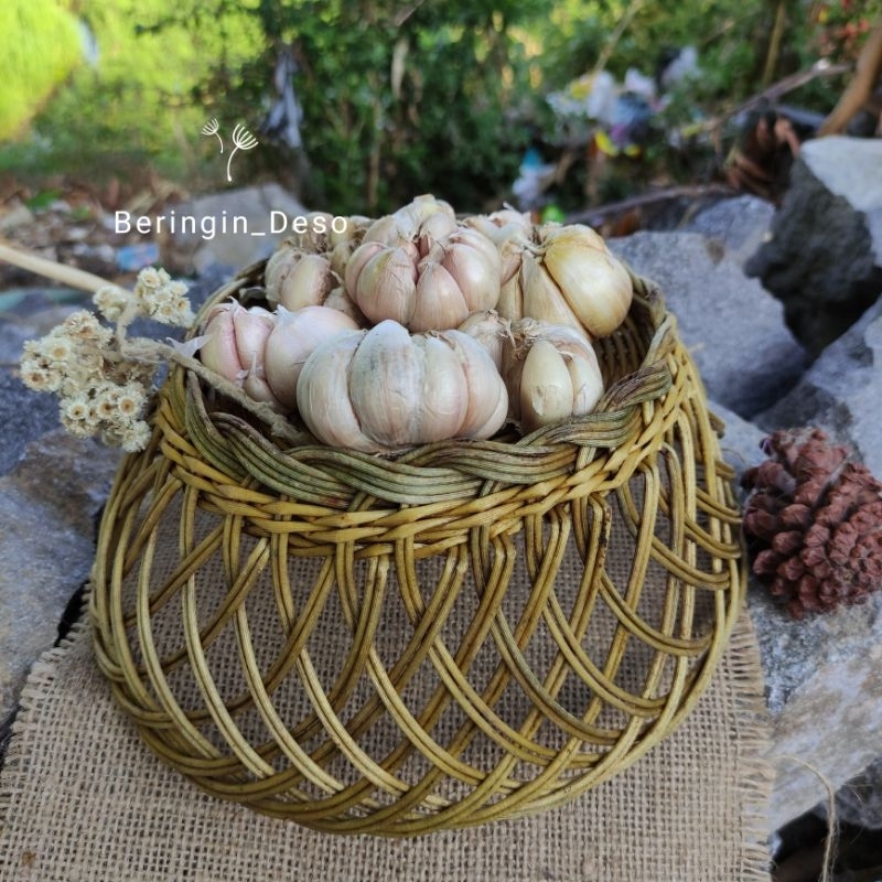 

bawang putih 500gr sedang dari petani