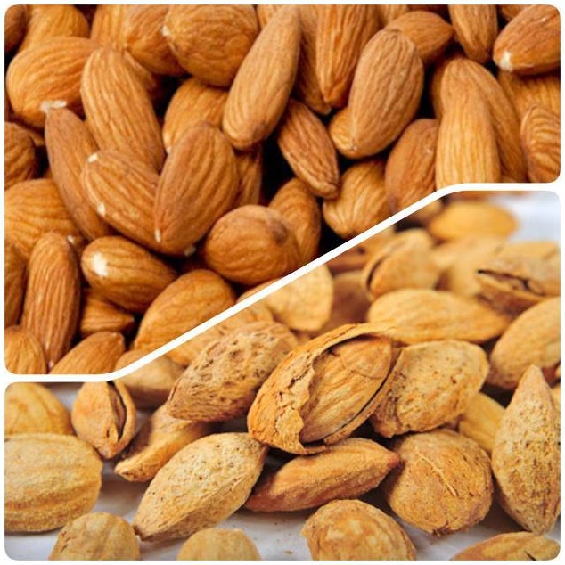 

BURUAN SERBU Paket Almond Roasted 25gr Kulit creamyKupas Original