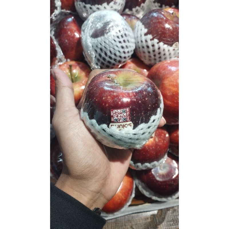 

BUAH APEL SOLUNA AUSTRALIA SUPER JUMBO FRESH 1 KG