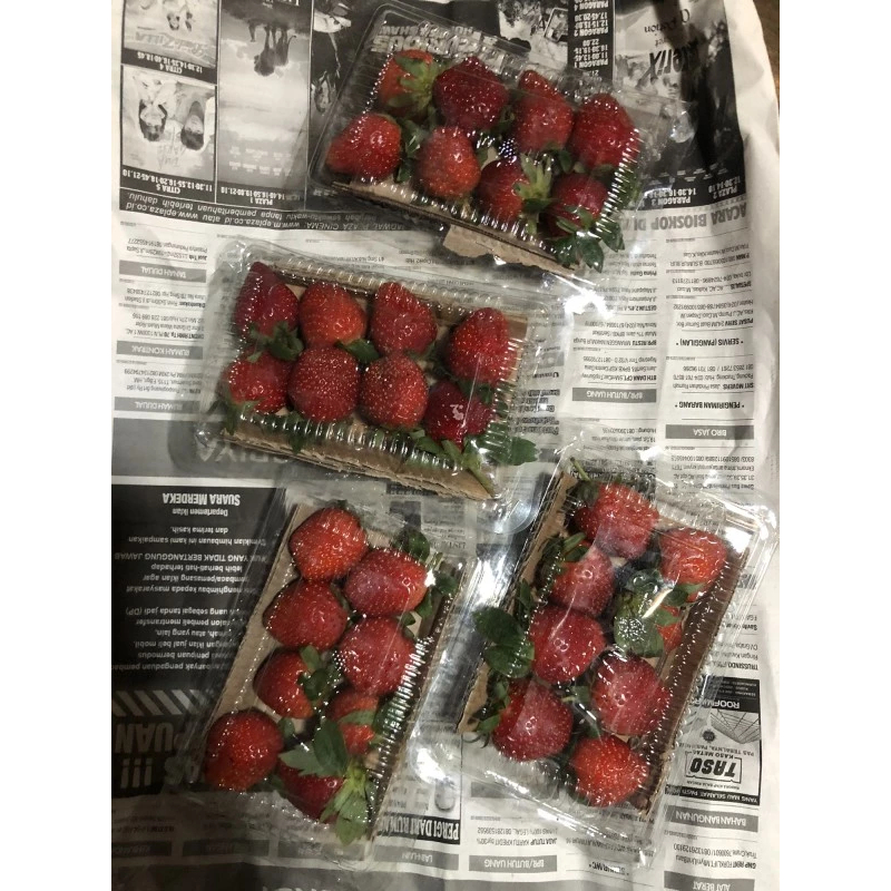 

Buah Strawberry Lokal 250 Gram