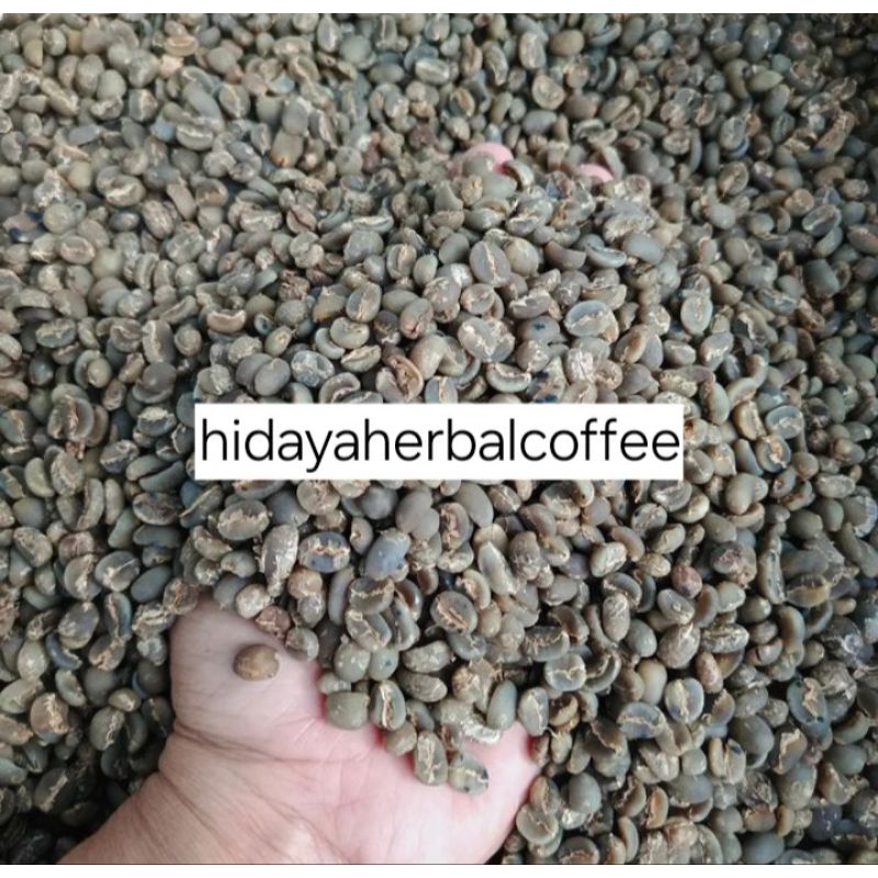 

Greenbean Arabika Ijen Proses Semi Wash Grade A