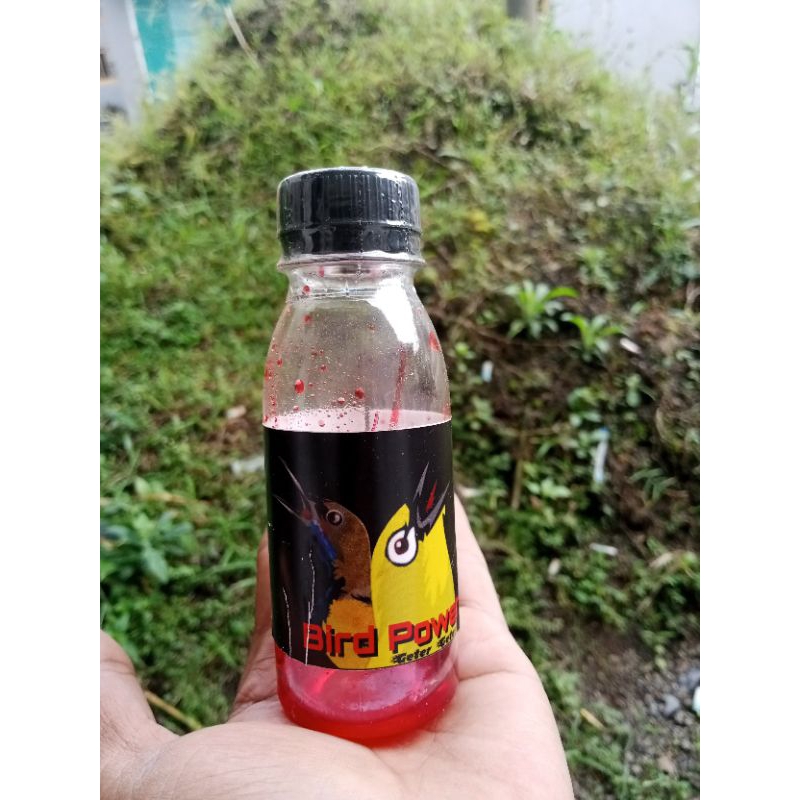 Bird Power Suplemen/doping pleci sogon konin dll..