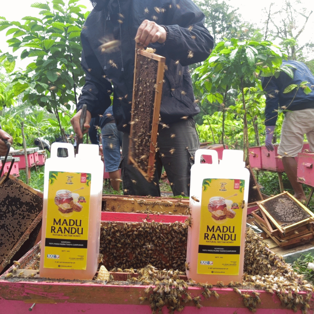 

Madu Murni Asli 100% Nektar Randu 1 Kg