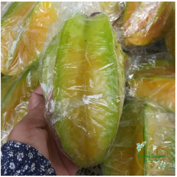 

Buah belimbing bangkok segar dan murah cikarang utara 1 kg