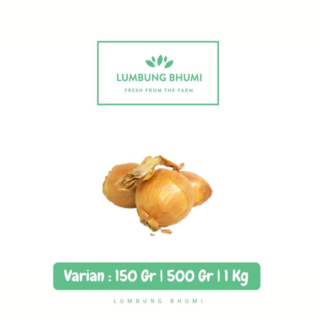 

Bawang Bombay SEDANG Sayur - Lumbung Bhumi