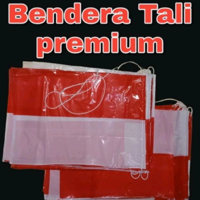 BENDERA MERAH PUTIH PLASTIK + TALI/BENDERA PLASTIK LANGSUNG PAKAI TALI/BENDERA PLASTIK MERAH PUTIH/B