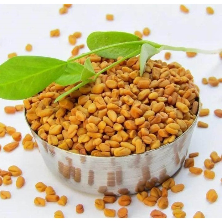 

250 gram Biji Klabet Methi Seed I Pembesar Payudara I Pelangsing Badan Herbal Alami I Fenugrek Seed