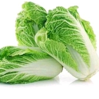 

sawi putih segar batam