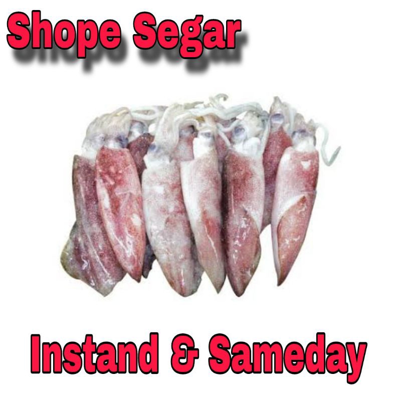 

Cumi Segar Cumi Basah 250 Gram