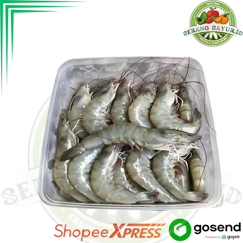 

UDANG BASAH BESAR 500 GR