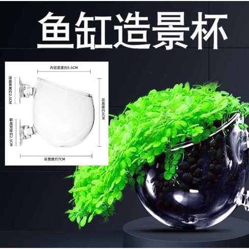 Pot Akuarium Kaca Besar Tanaman Akuarium Aquascape