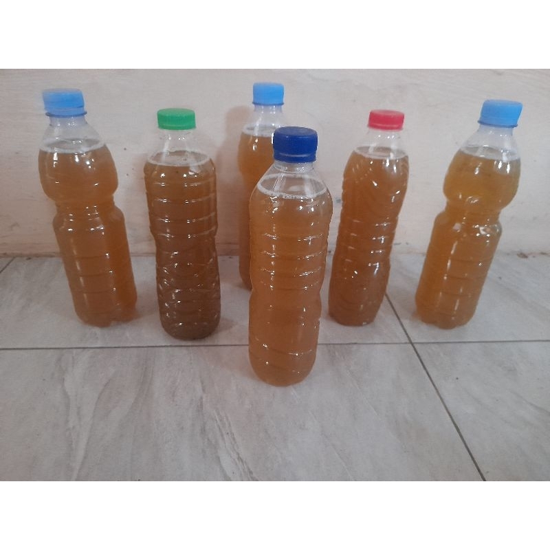 

JAMU HERBAL MUJARRAB Rahasia Unggas Sehat Etes Trengginas