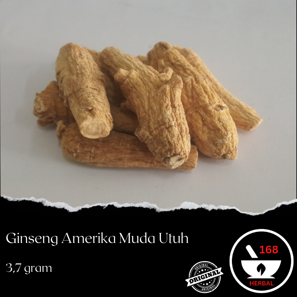 

Ginseng Amerika Muda Utuh / Yosem Muda Utuh / nett 3.7gram