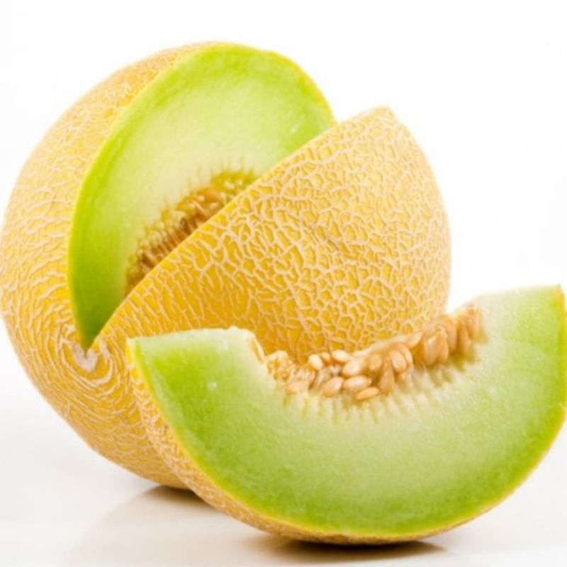 

110 biji benih melon madu hijau super mudah tumbuh