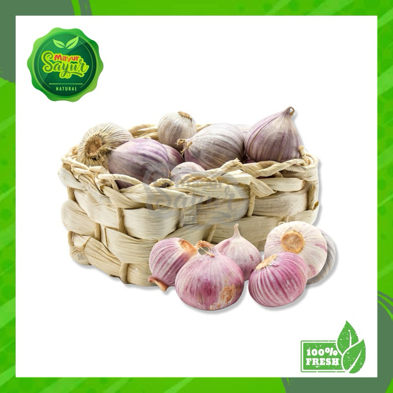 

KIRIM INSTAN Bawang Lanang / Bawang Tunggal