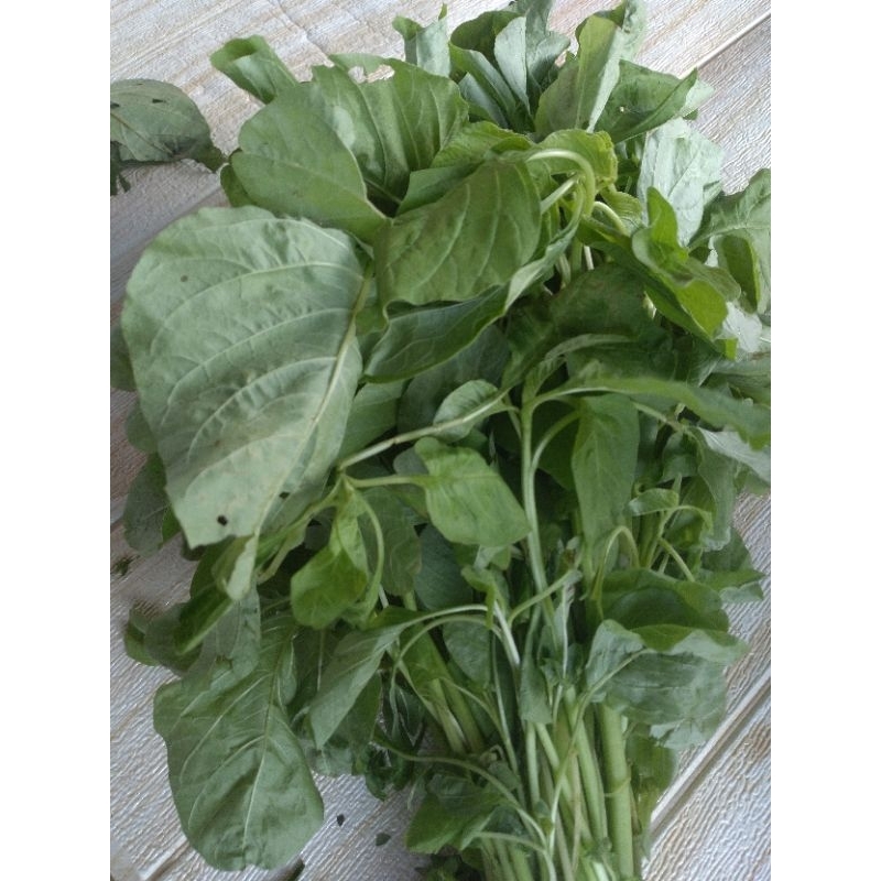 

Bayam Bogor Segar 1 Ikat