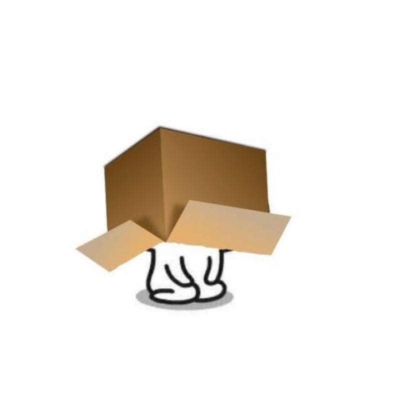 

CO tambahan Kardus dan bubble wrap