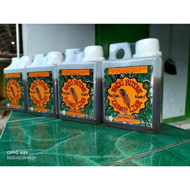 

madu asli dari sumatra