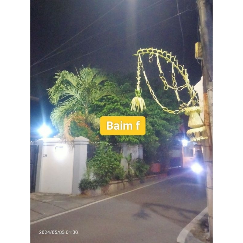 Ay00 janur pernikahan satu paket (janur besar 1 & janur kecil 1)free print nama