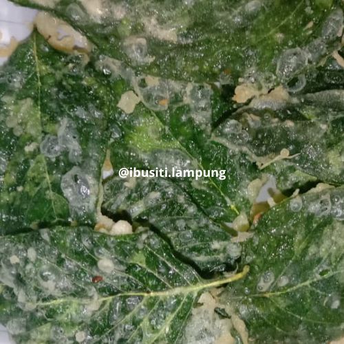 

100 Gram Keripik Peyek Bayam Ibu Siti Lampung Homemade Buatan Rumahan Produksi Dadakan dijamin Kriuk Crispy