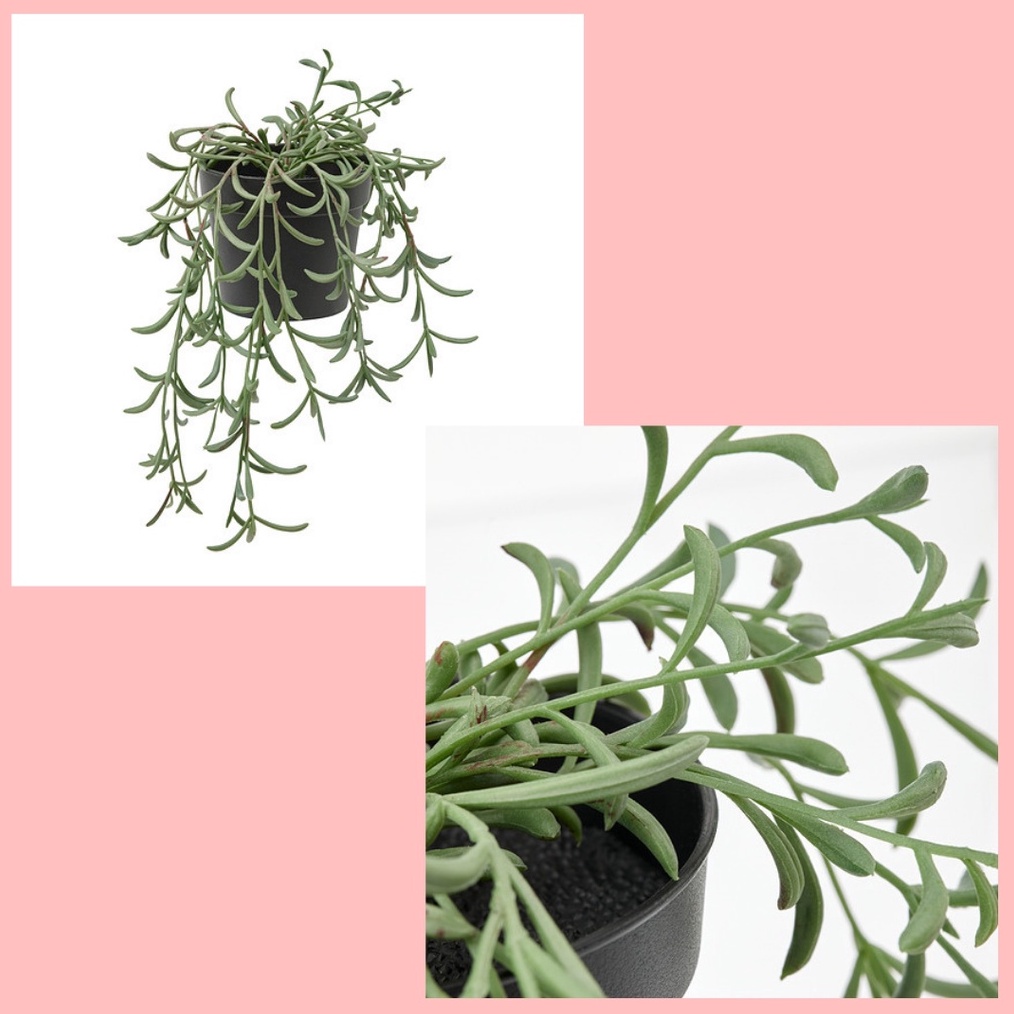 FLAS SALE FEJKA Tanaman tiruan dalam pot uk 9 cm dalamluar ruangstring of bananas digantung tanaman 