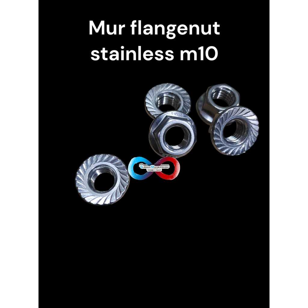 Mur flange stainless m10
