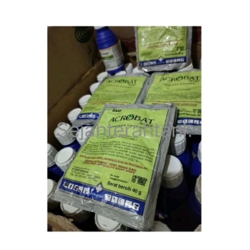 Acrobat50Wp40gr.