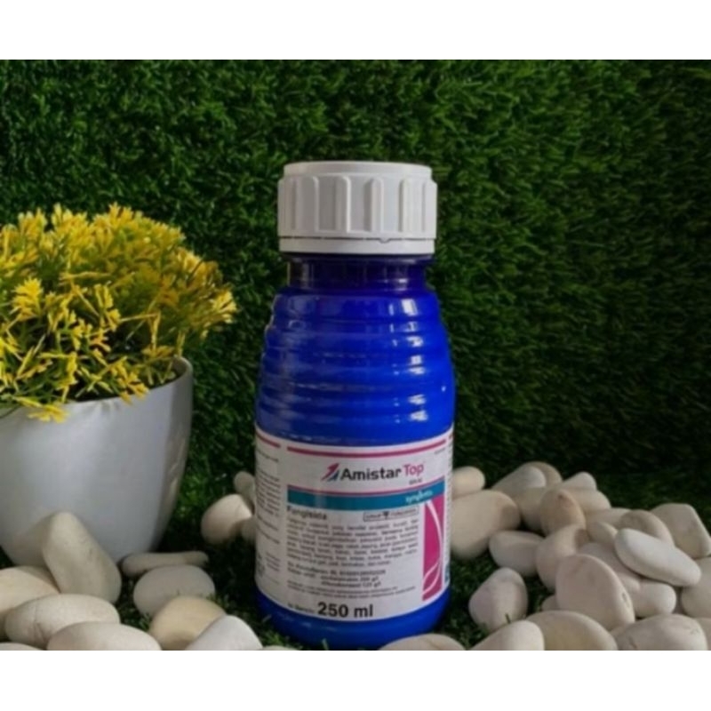 Amistartop250ml.