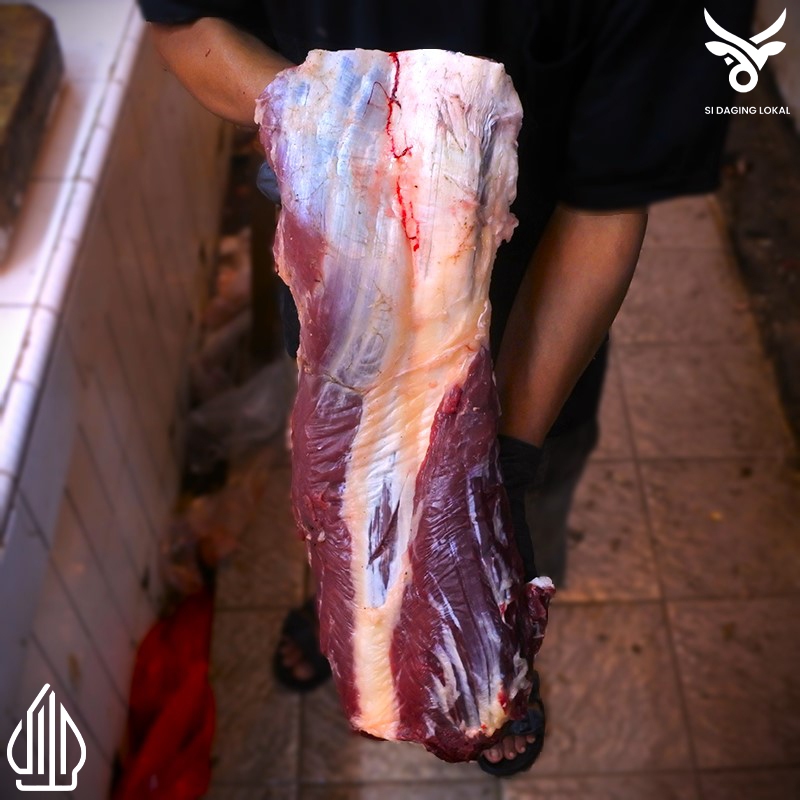 

Daging sapi bagian paha belakang Lamusir belakang - 250 / 500 / 750 Gram