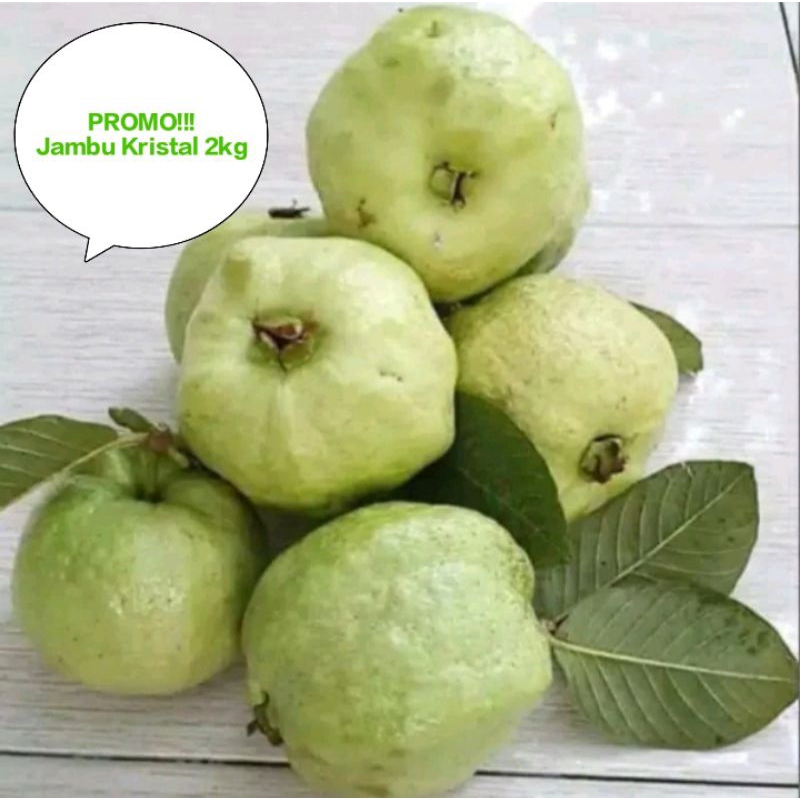 

JAMBU KRISTAL 2 KILO SEGAR