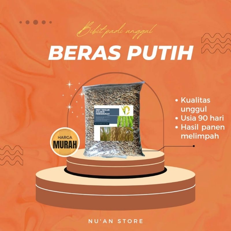 

BIBIT PADI BERAS PUTIH UNGGUL PER 500grm