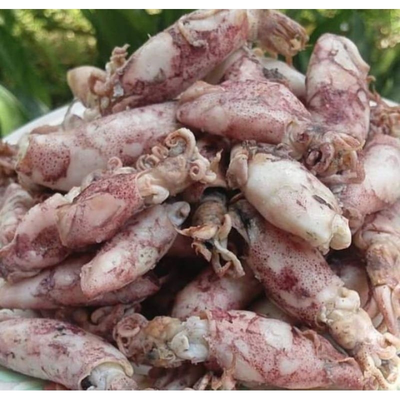 

CUMI ASIN ENAAAK DISAMBEL IJO 500GRAM