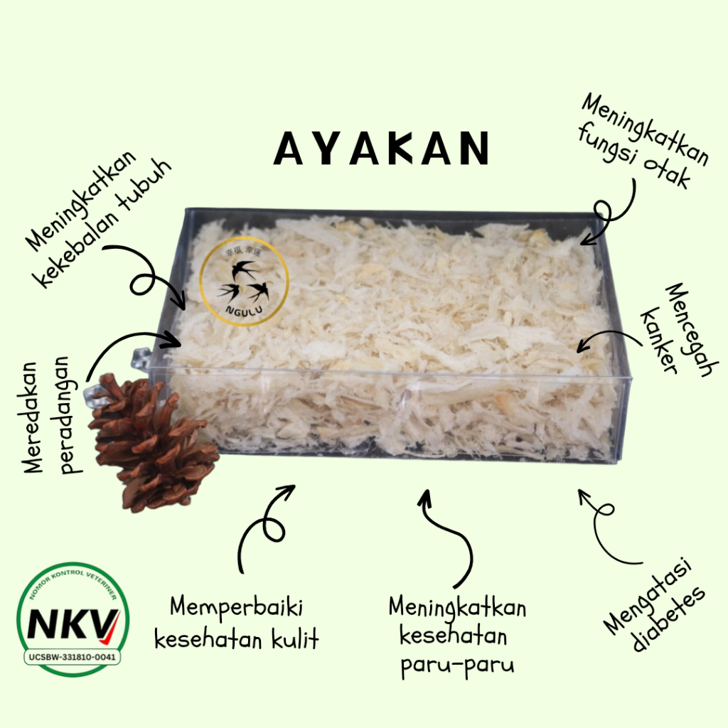 

Sarang Burung Walet Ayakan (Big Stick) Siap Masak