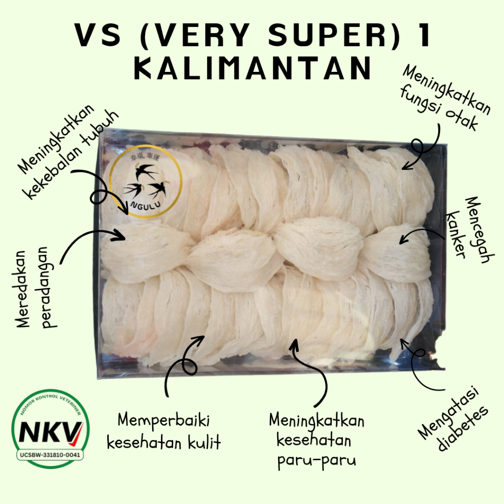 

Sarang Burung Walet Very Super (VS) I Siap Masak