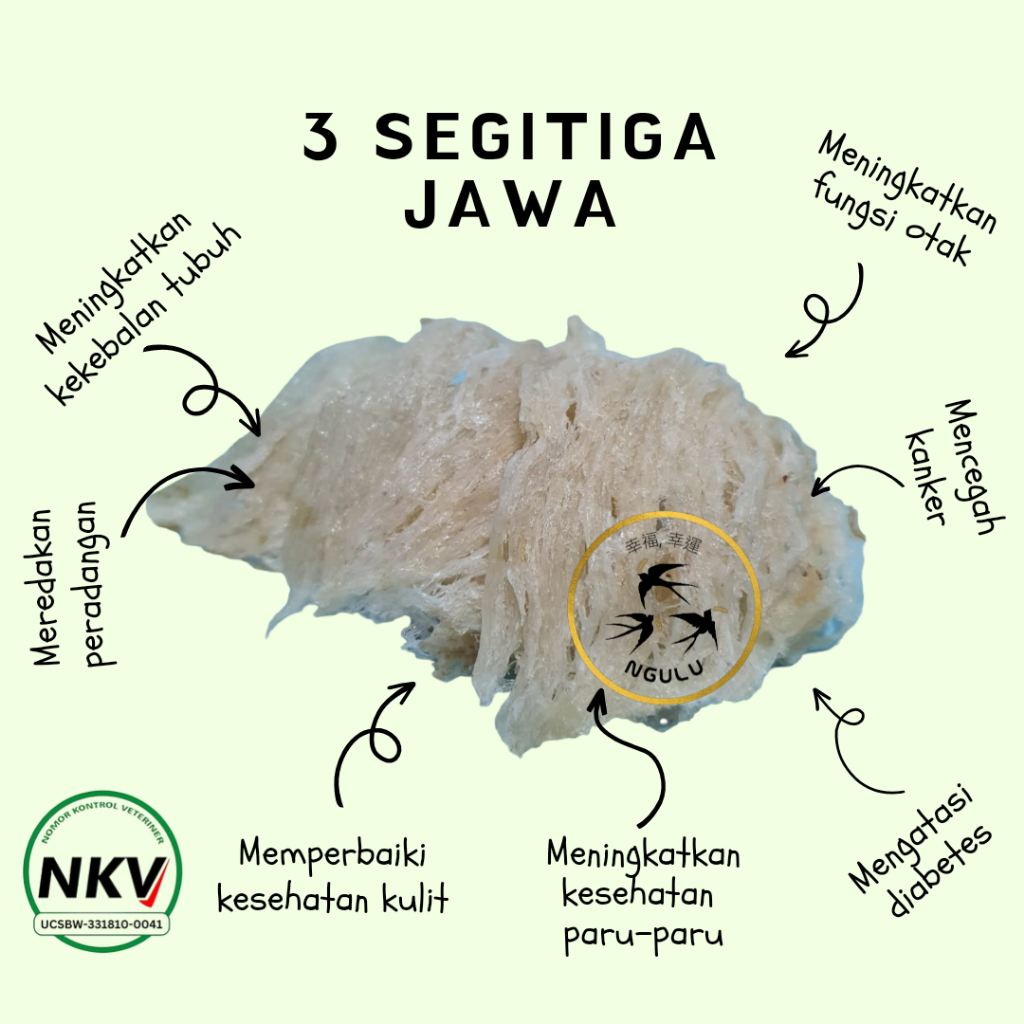 

Sarang Burung Walet III Segitiga Jawa Siap Masak
