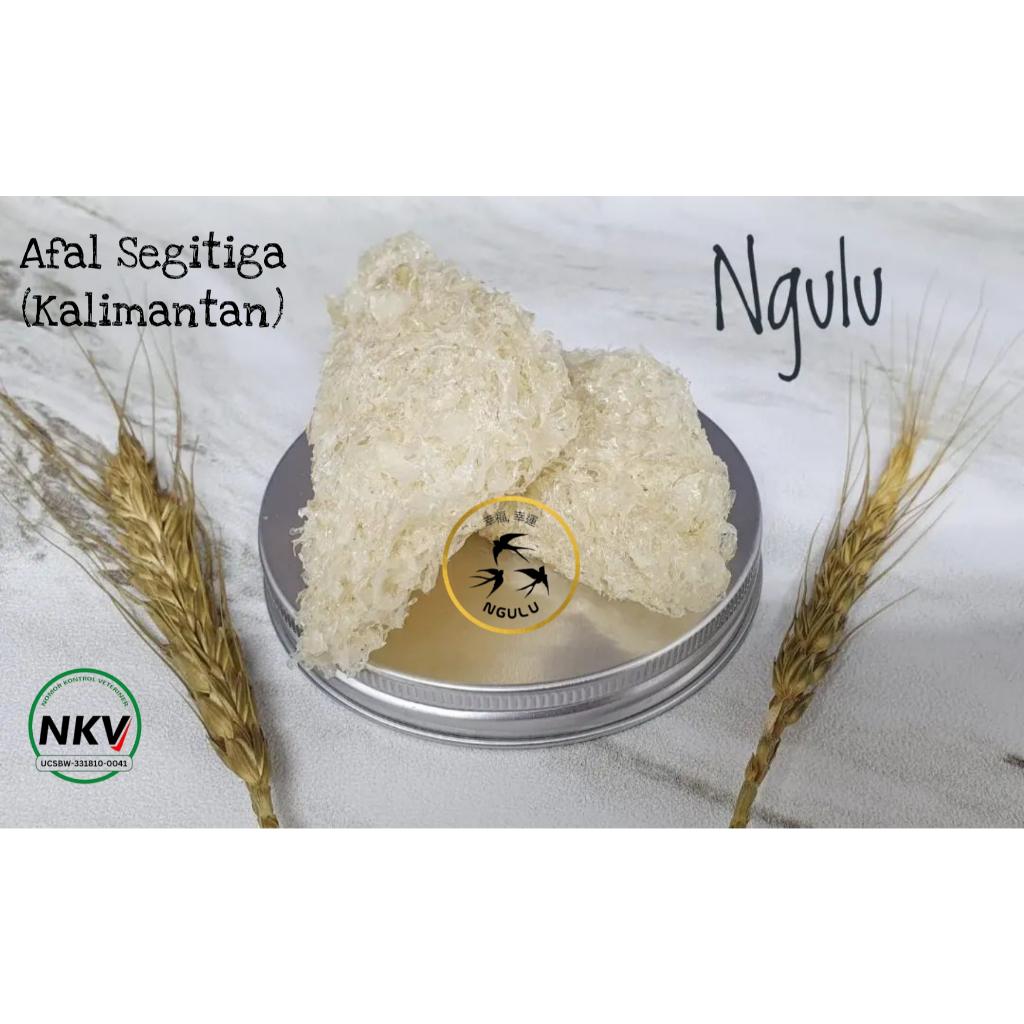 

Sarang Burung Walet Rontokan (Afal) Segitiga Kalimantan Siap Masak