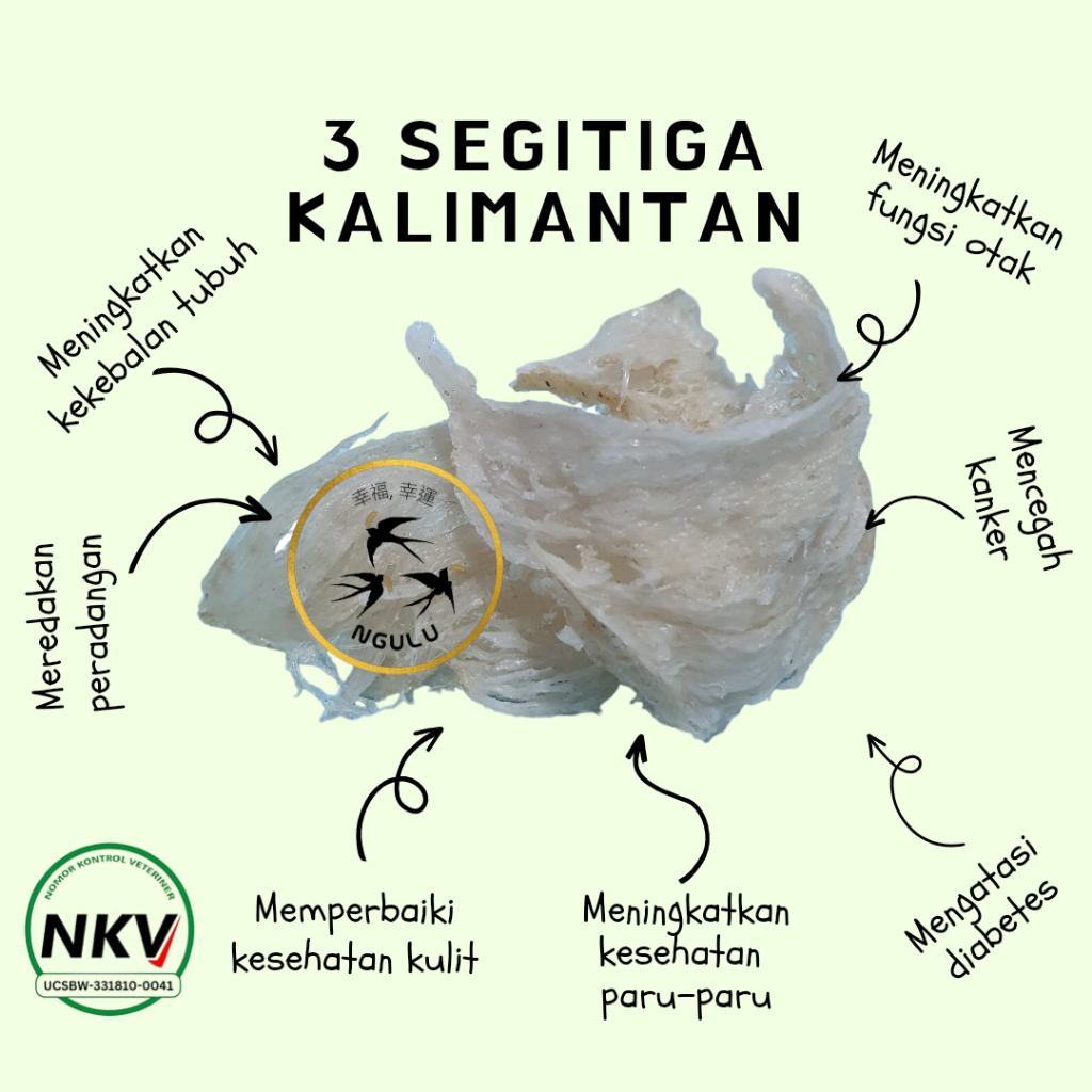 

Sarang Burung Walet III Segitiga Kalimantan Siap Masak