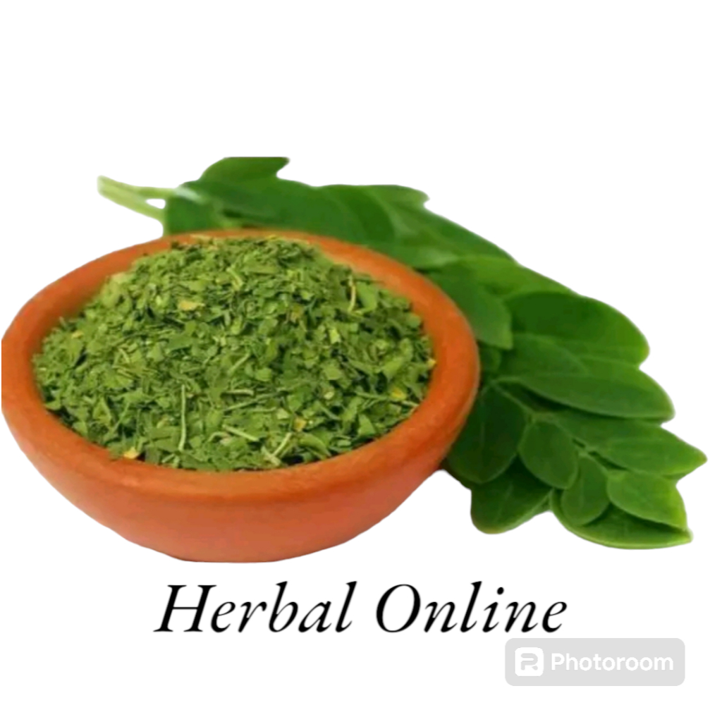 

Daun Kelor Segar 1 kg Herbal Alami